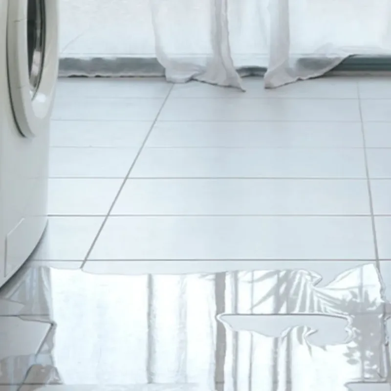 Appliance Leak Cleanup in Davison, MI