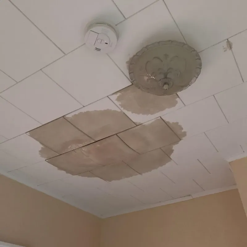 Ceiling Water Damage Repair in Davison, MI