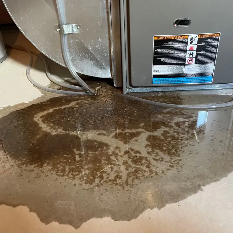 Pipe Burst and Leak Restoration in Davison, MI