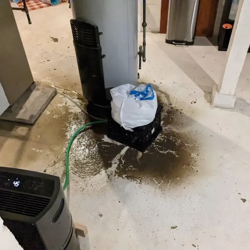 Sewage Backup Cleanup Service in Davison, MI